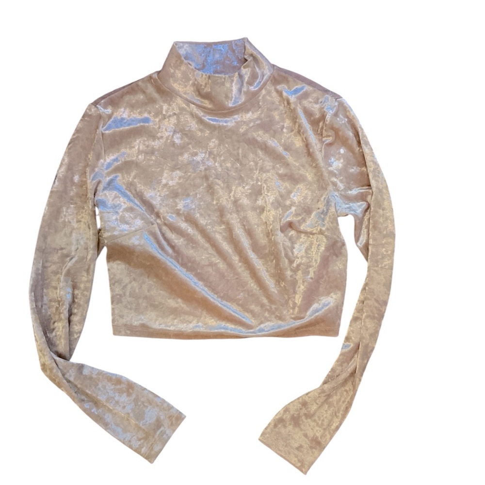 Forever 21 pale pink crushed velvet Top with Mandarin Collar and Long Sleeves